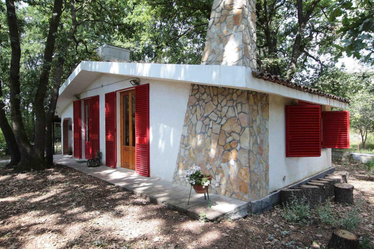 Chalet Villa Fini Fleri Экстерьер фото